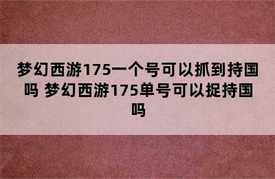 梦幻西游175一个号可以抓到持国吗 梦幻西游175单号可以捉持国吗